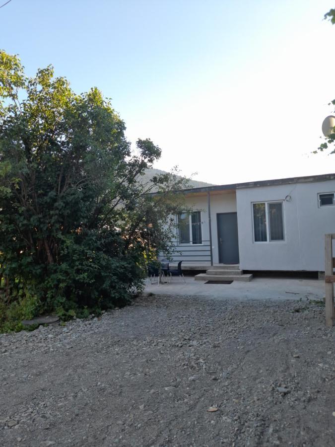 Nugzar Holiday Home Mestia Dış mekan fotoğraf
