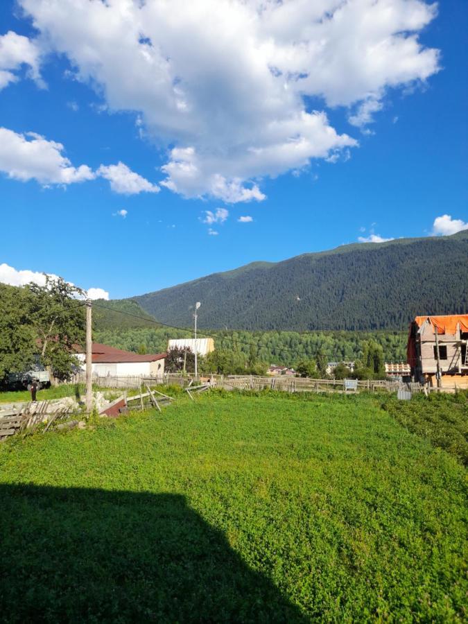 Nugzar Holiday Home Mestia Dış mekan fotoğraf