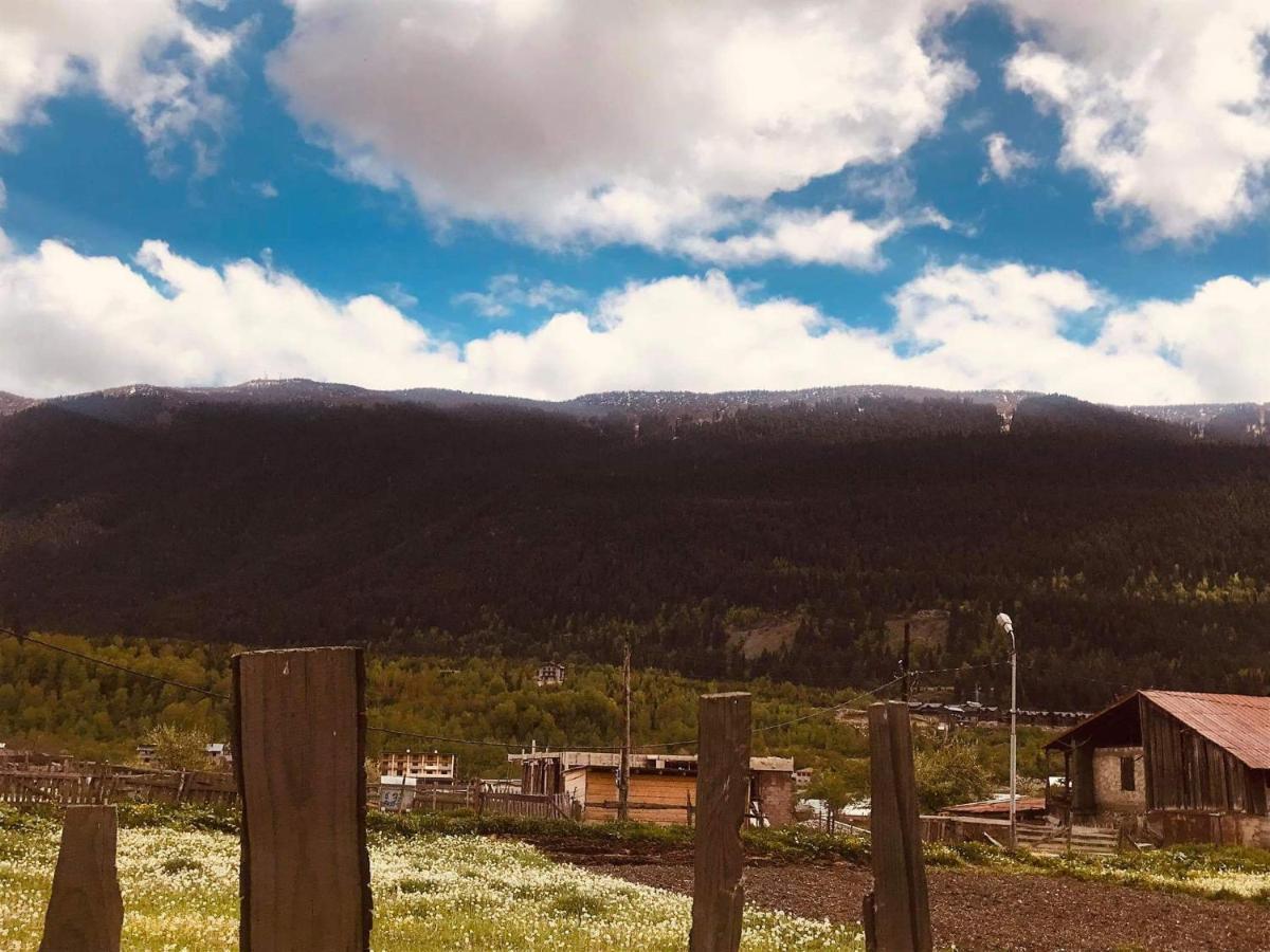 Nugzar Holiday Home Mestia Dış mekan fotoğraf