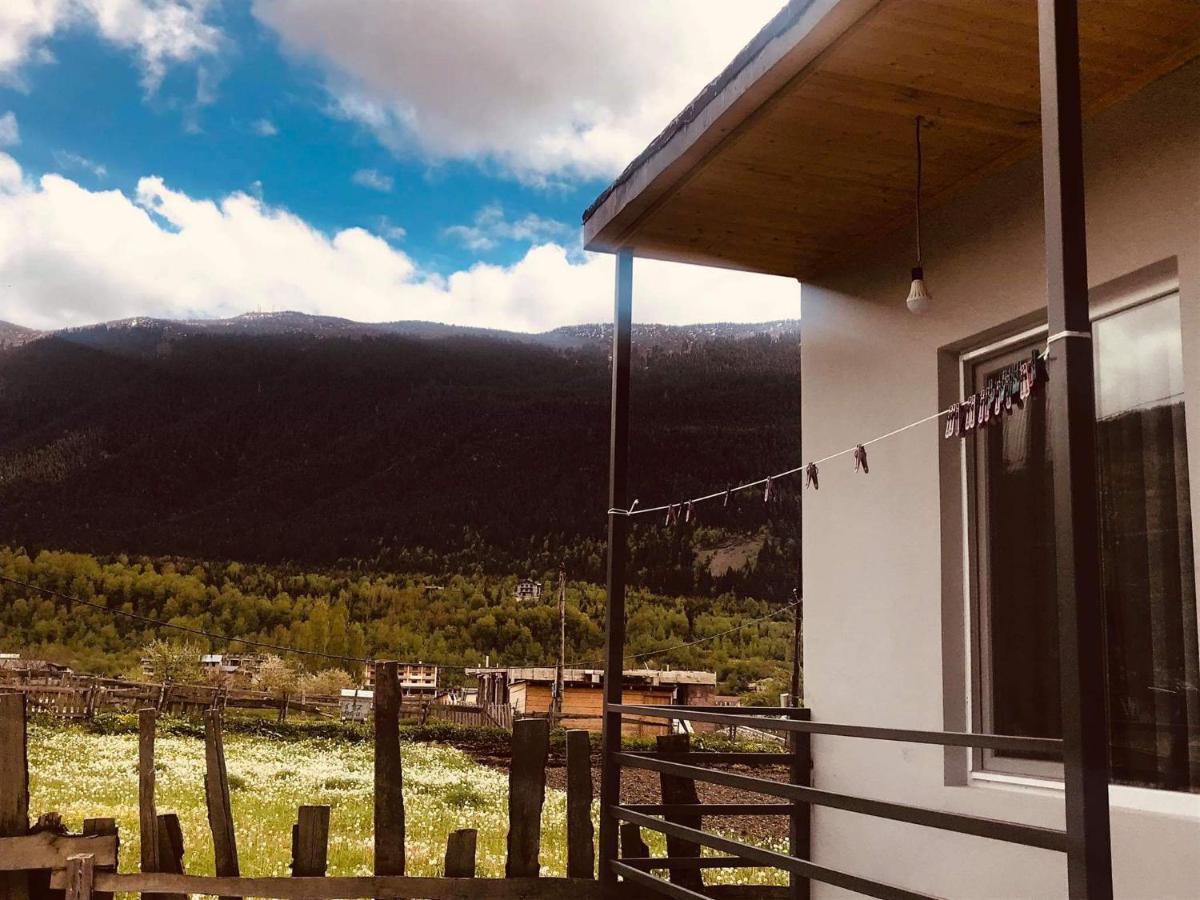 Nugzar Holiday Home Mestia Dış mekan fotoğraf
